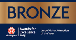 Bronze Award