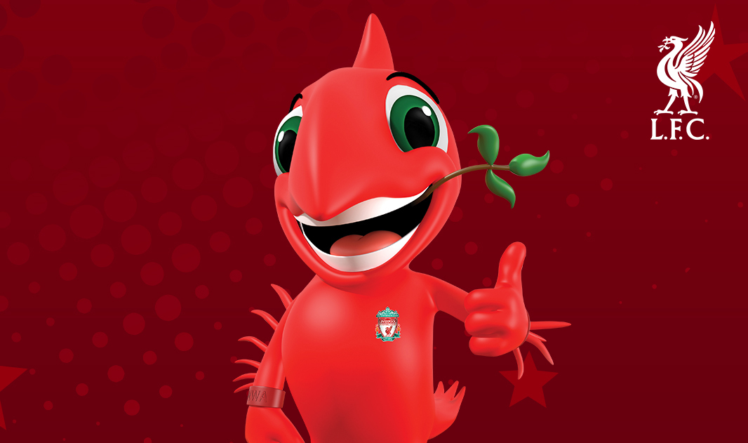 Promotional image for a Liverpool FC 'Best Value Package' with books, a keyring,
                            and magnet set. Includes an 'Epic' book with Anfield Stadium and trophy photos, and an
                            'Essential Guide' book covering the club's history from the Kop to Klopp, and Shankly to
                            Slot, featuring players, managers, and fans.